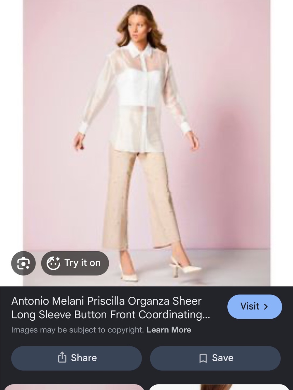 ANTONIO MELANI White Sheer Organza Long-Sleeve Button Shirt